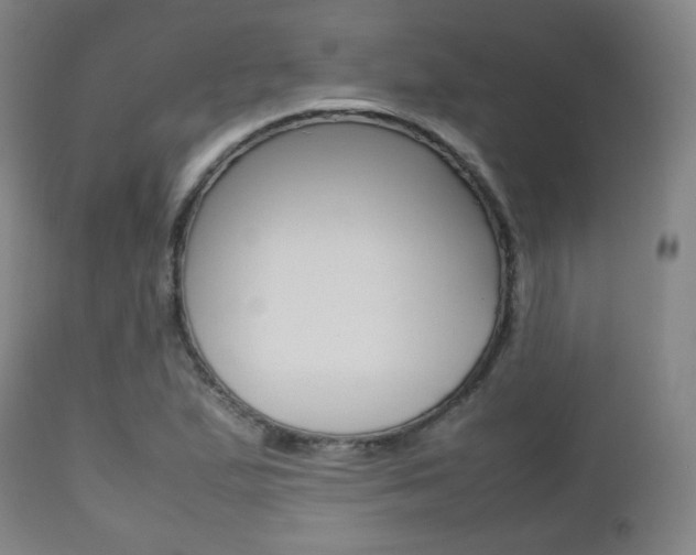 X0000112511167200908171041