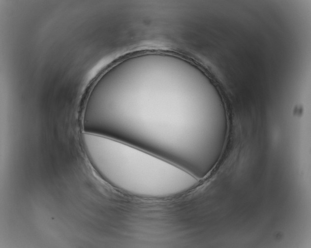 X0000112511168200908171041