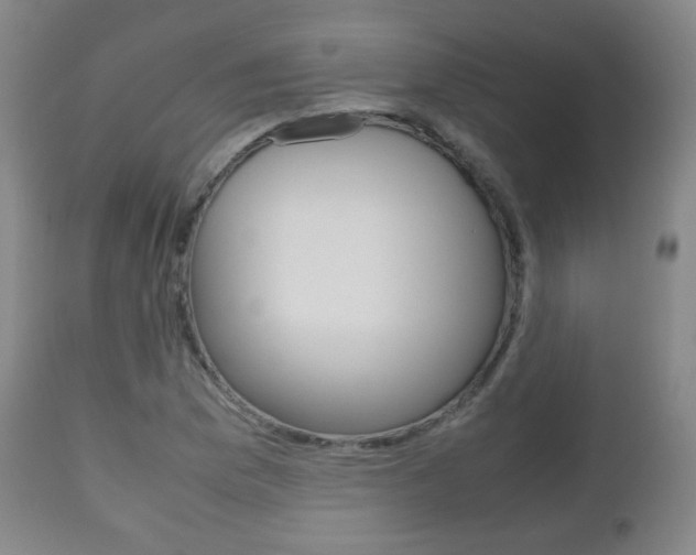 X0000112511169200908171041