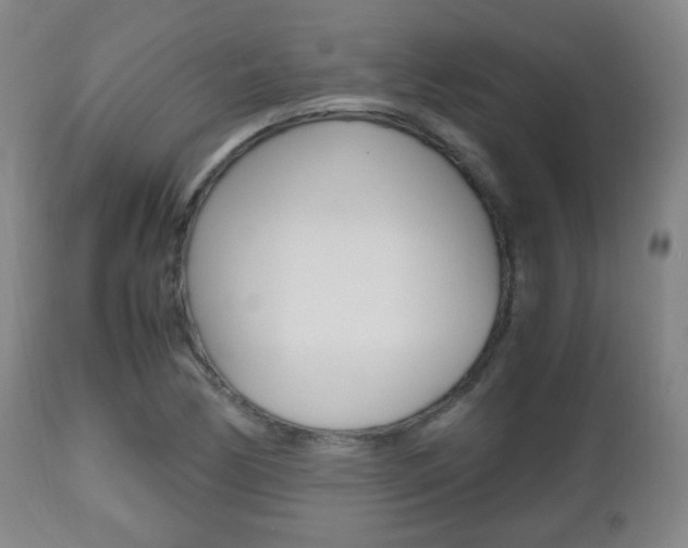 X0000112511170200908171041