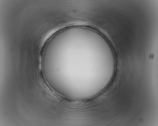 X0000112511171200908171041