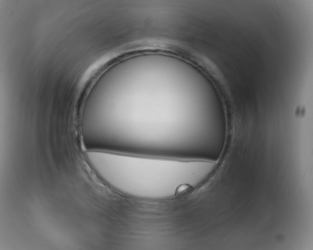 X0000112511172200908171041