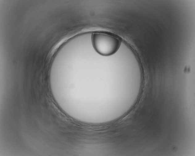 X0000112511173200908171040