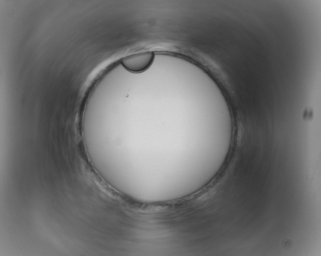 X0000112511174200908171040