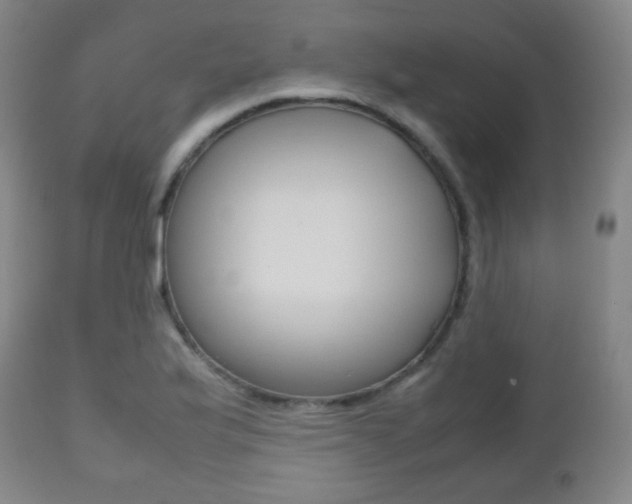 X0000112511175200908171040