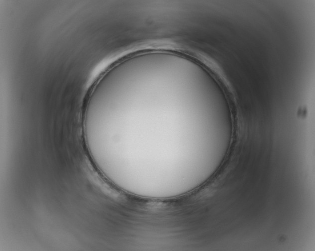 X0000112511176200908171040