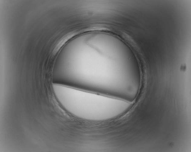 X0000112511177200908171040