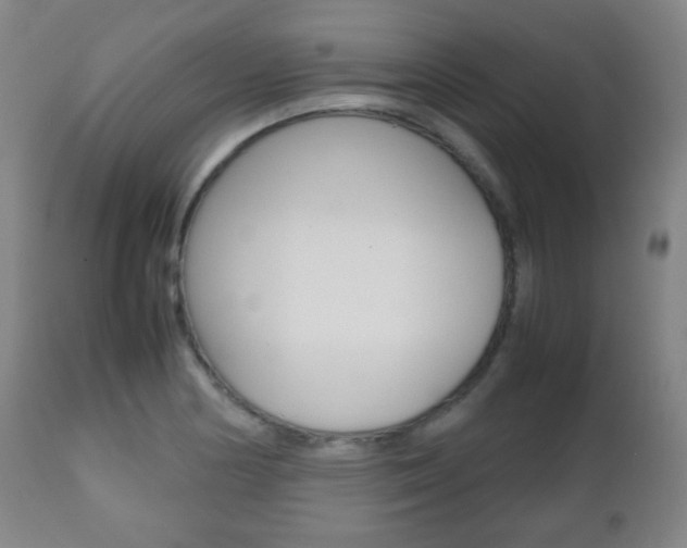 X0000112511178200908171040
