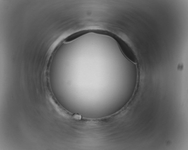 X0000112511181200908171040