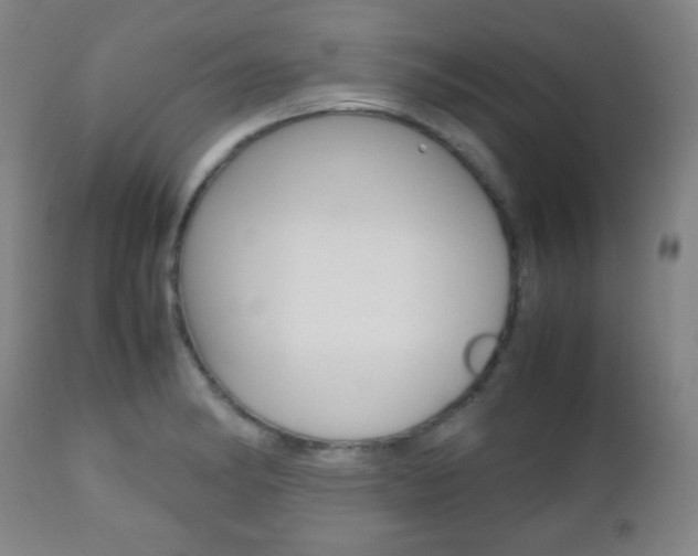X0000112511182200908171040
