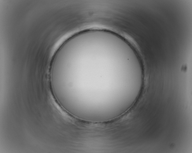 X0000112511183200908171040