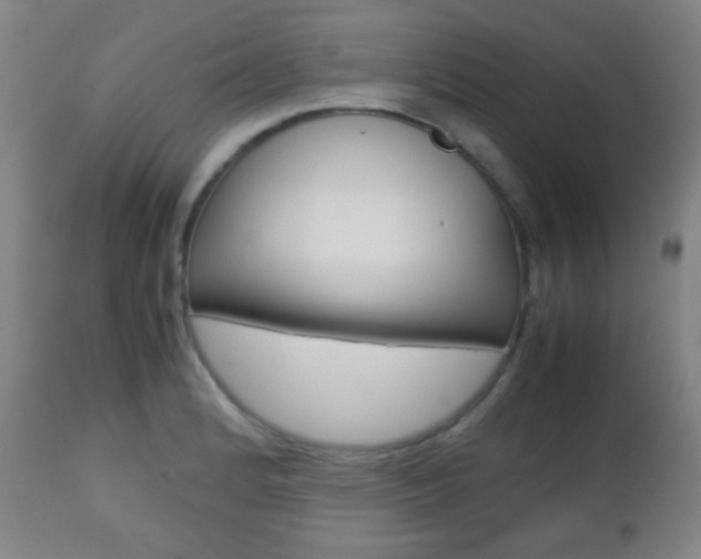 X0000112511184200908171040