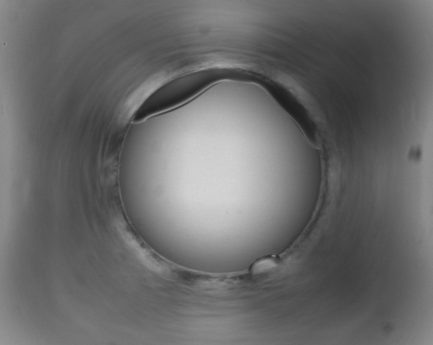 X0000112511185200908171040