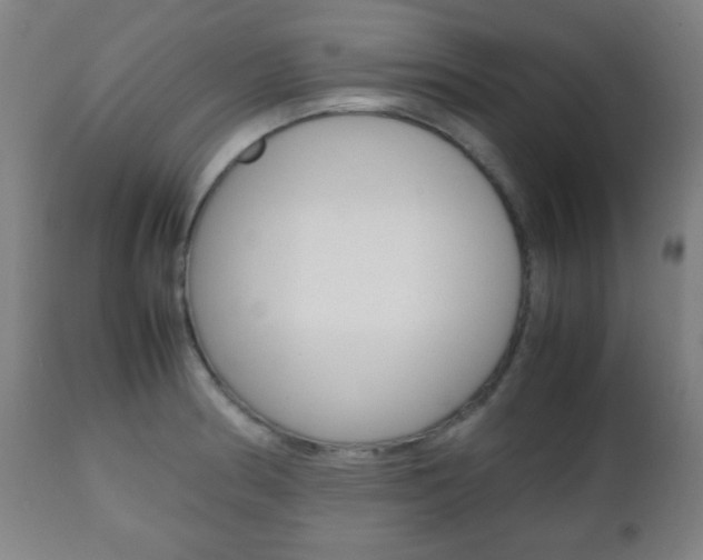 X0000112511186200908171040