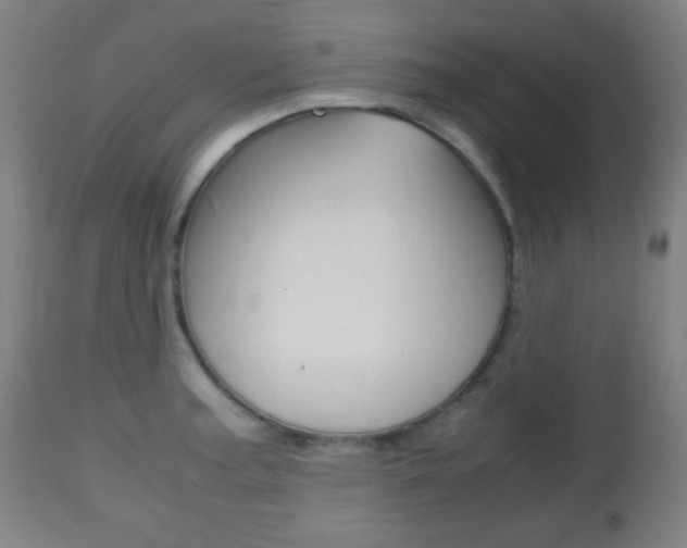 X0000112511187200908171040