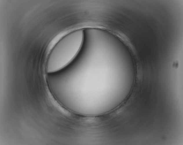 X0000112511188200908171040