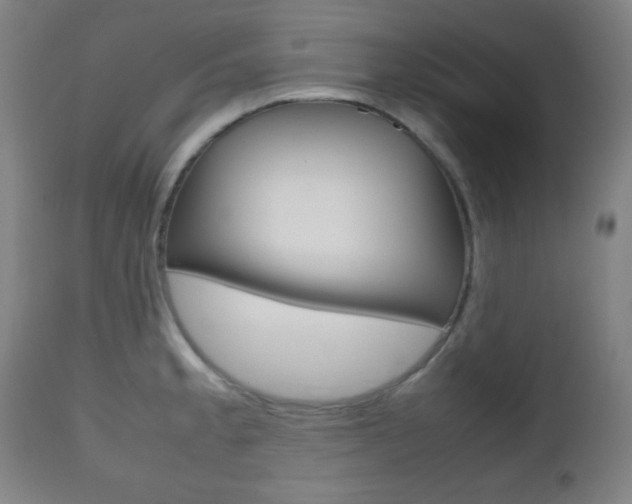 X0000112511189200908171040