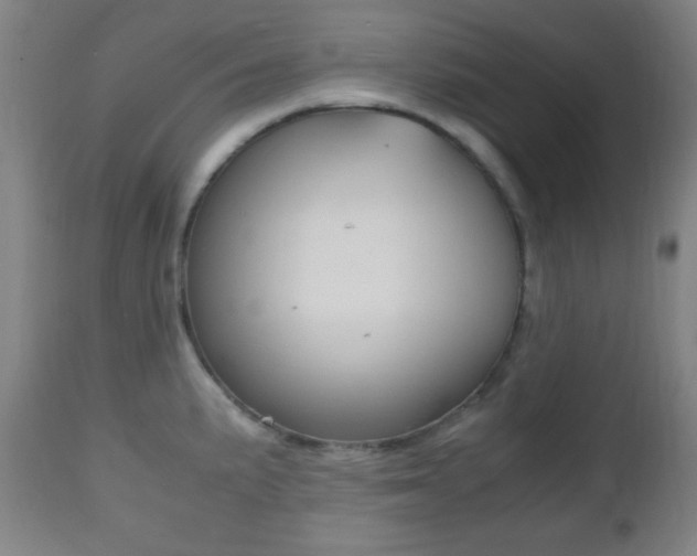 X0000112511191200908171040