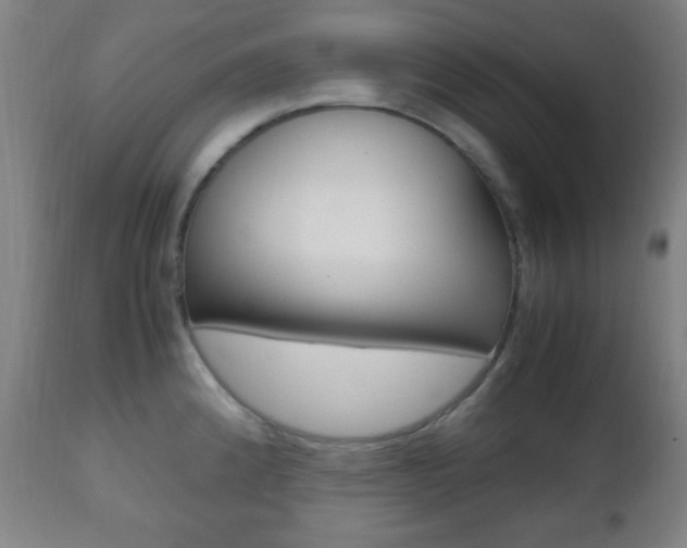 X0000112511192200908171040