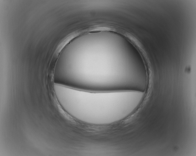 X0000112511193200908171040