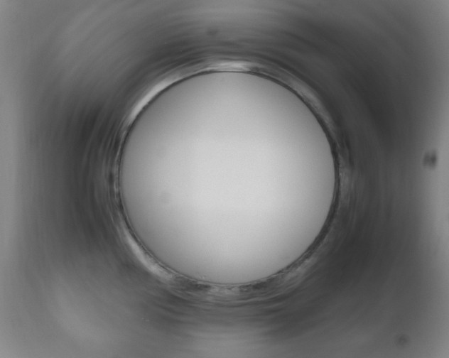 X0000112511194200908171040