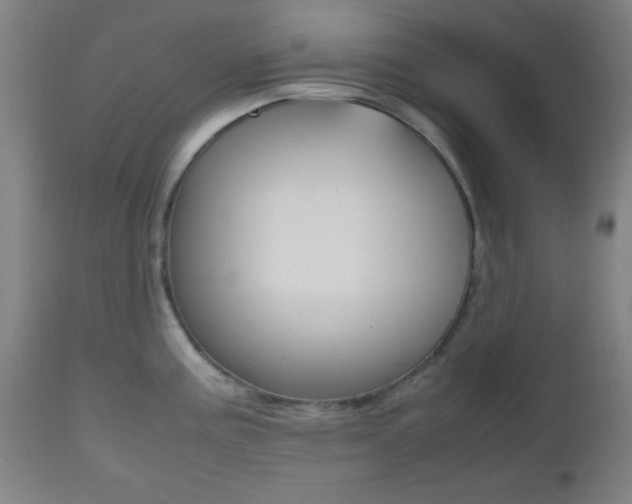 X0000112511195200908171040