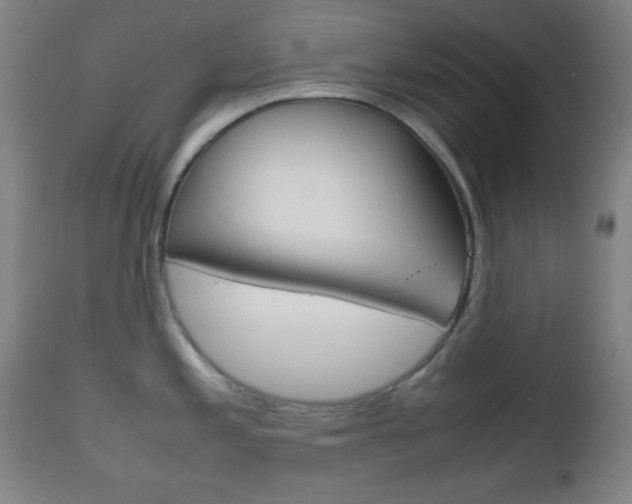 X0000112511197200908171040