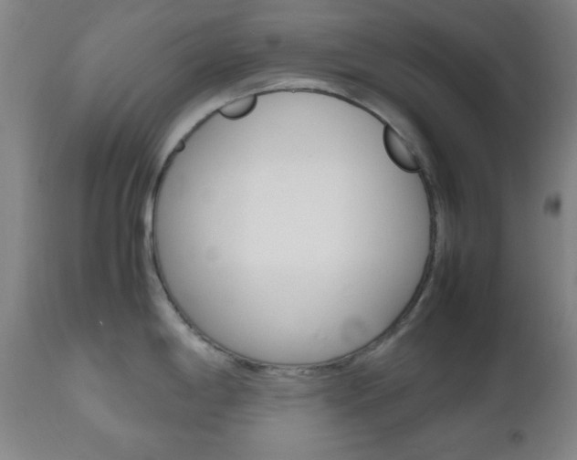 X0000112511198200908171040