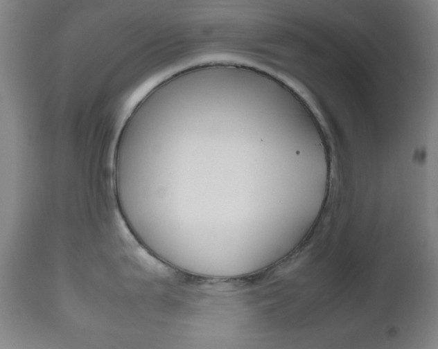 X0000112511199200908171040