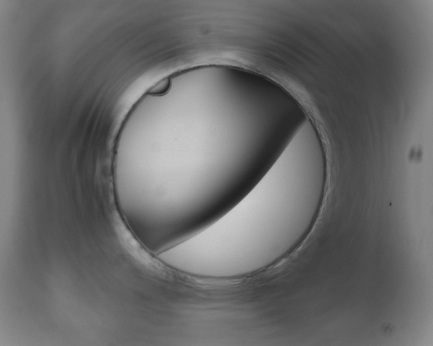 X0000112511200200908171040