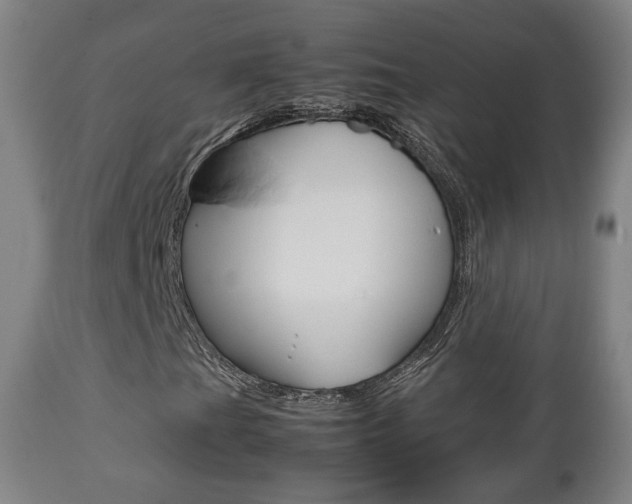 X0000112511201200908171039