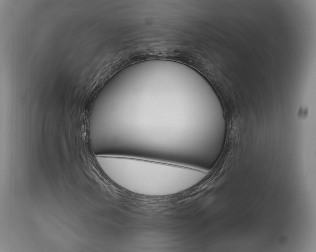 X0000112511202200908171039