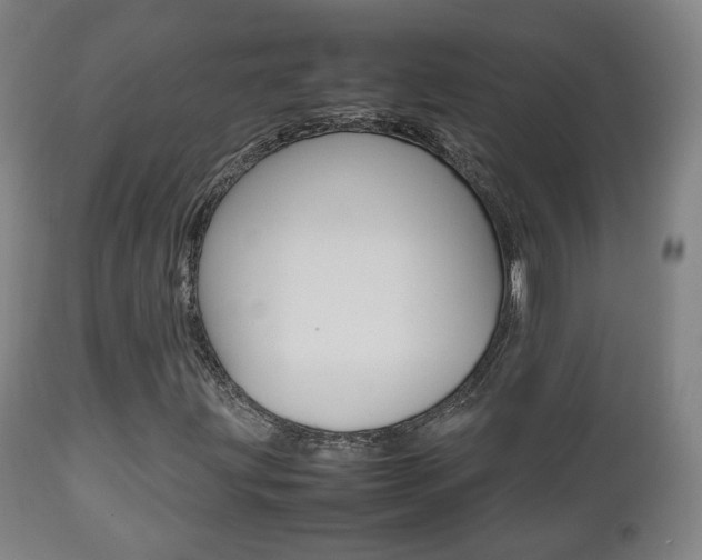 X0000112511203200908171039