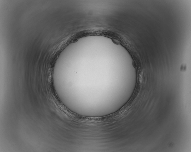 X0000112511204200908171039