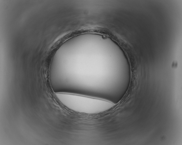 X0000112511206200908171039