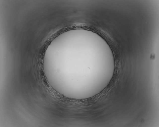 X0000112511207200908171039