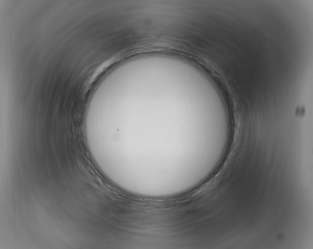 X0000112511210200908171039