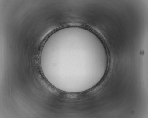 X0000112511211200908171039