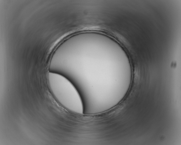 X0000112511212200908171039
