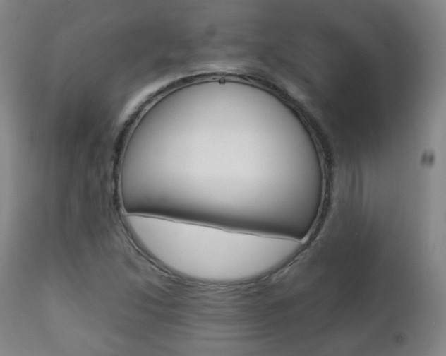 X0000112511214200908171039