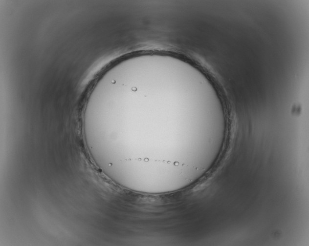 X0000112511215200908171039