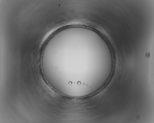 X0000112511216200908171039