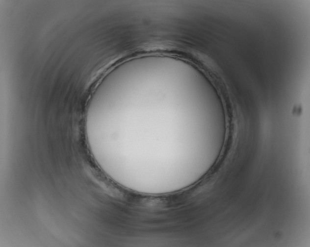 X0000112511217200908171039