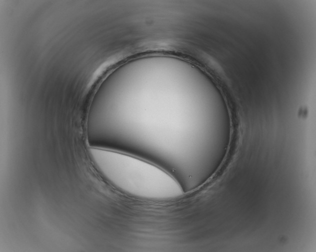 X0000112511218200908171039