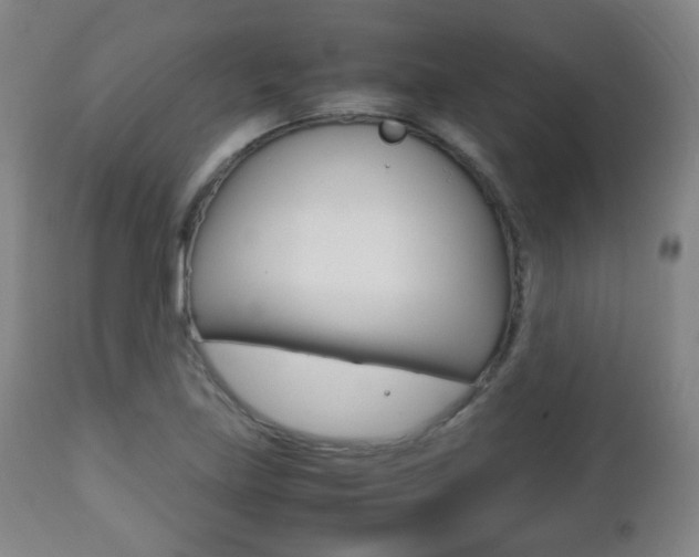 X0000112511219200908171039