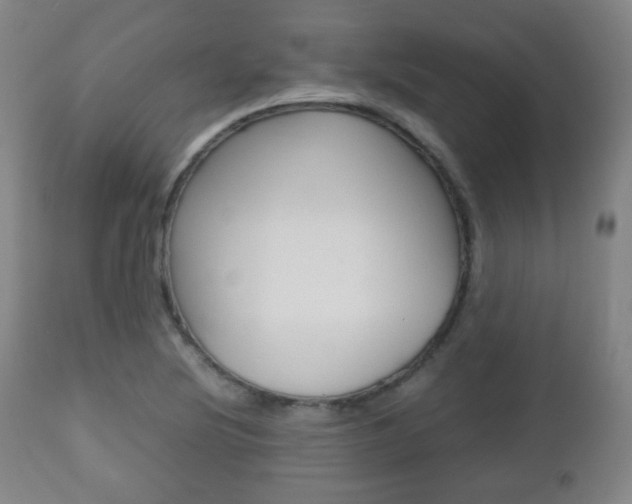 X0000112511220200908171039