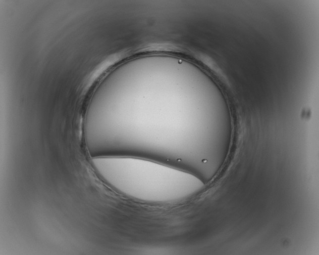 X0000112511221200908171039