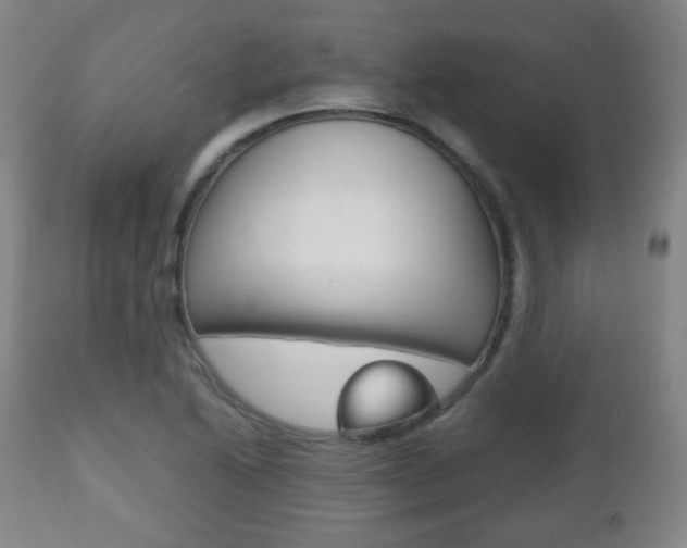 X0000112511222200908171039