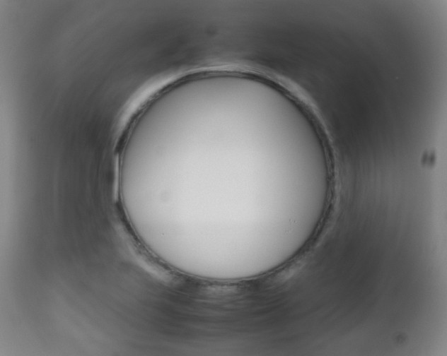 X0000112511223200908171039