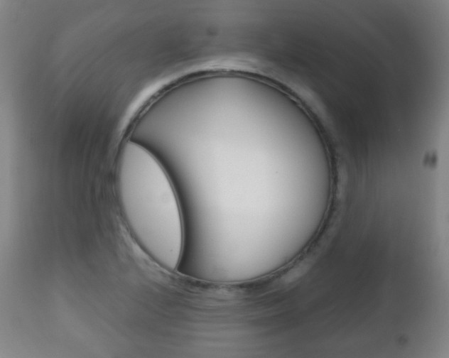 X0000112511224200908171039